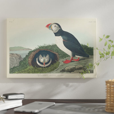 " Puffin " by James Audubon