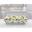 Roses Arrangement in Vase