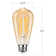 60 Watt Equivalent ST64 E26/Medium (Standard) Dimmable 2700K LED Bulb