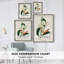 Turpin Tropical Botanicals, reproduction d'art encadrée - bois massif-1365356919