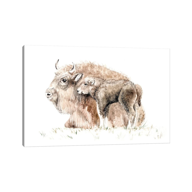 Home On The Range: Mama Buffalo And Her Calf by Wandering Laur - Wrapped Canvas Painting, 101.6 cm H x 66.04 cm W x 1.91 cm D