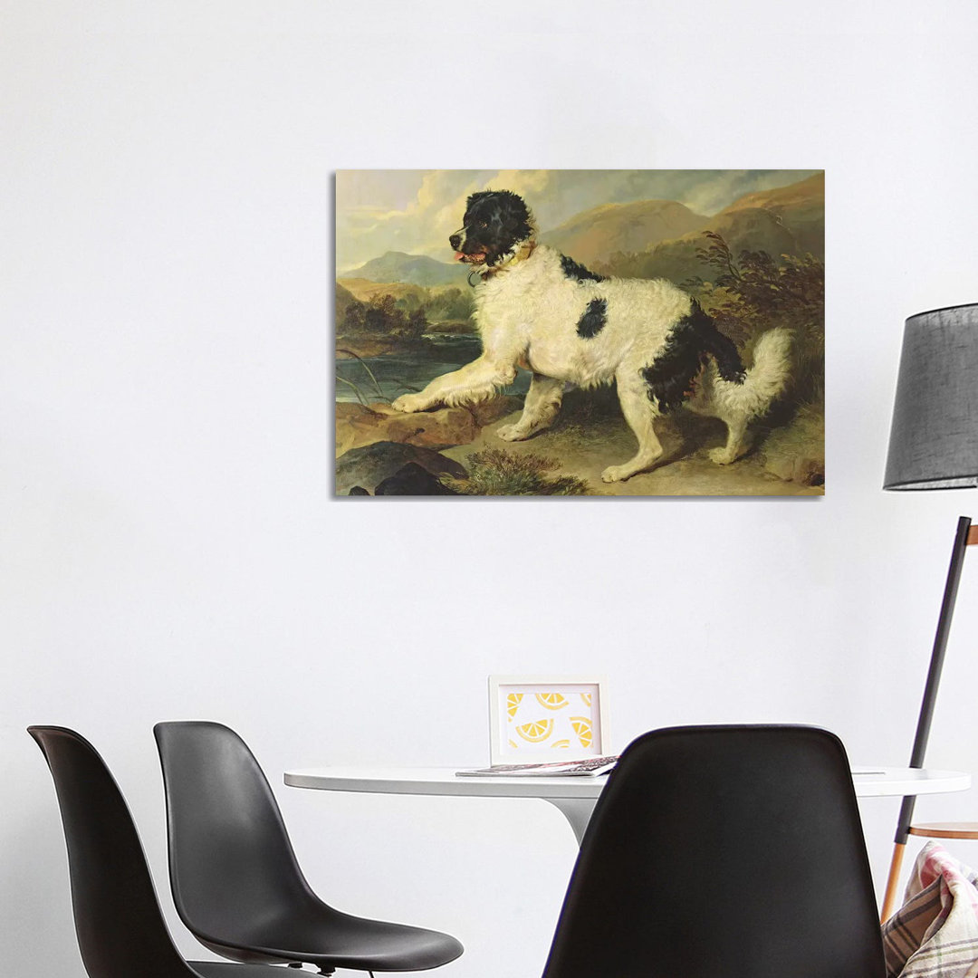 Newfoundland Dog Called Lion, 1824 by Sir Edwin Landseer - Wrapped Canvas Print