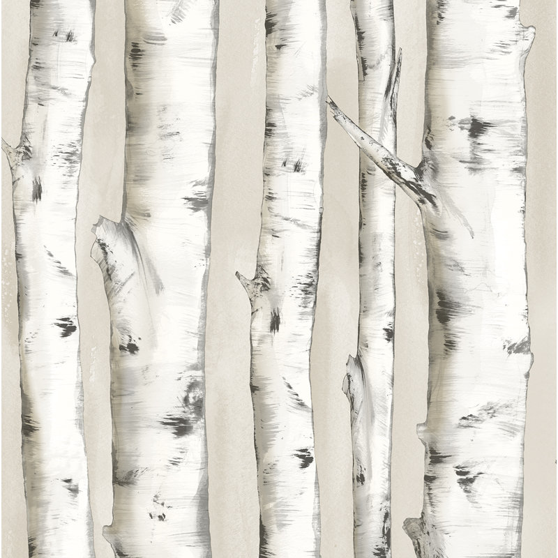 Rouleau de papier peint à motif de bouleau L 33 pi x l 20,5 po Pioneer, Blanc cassé