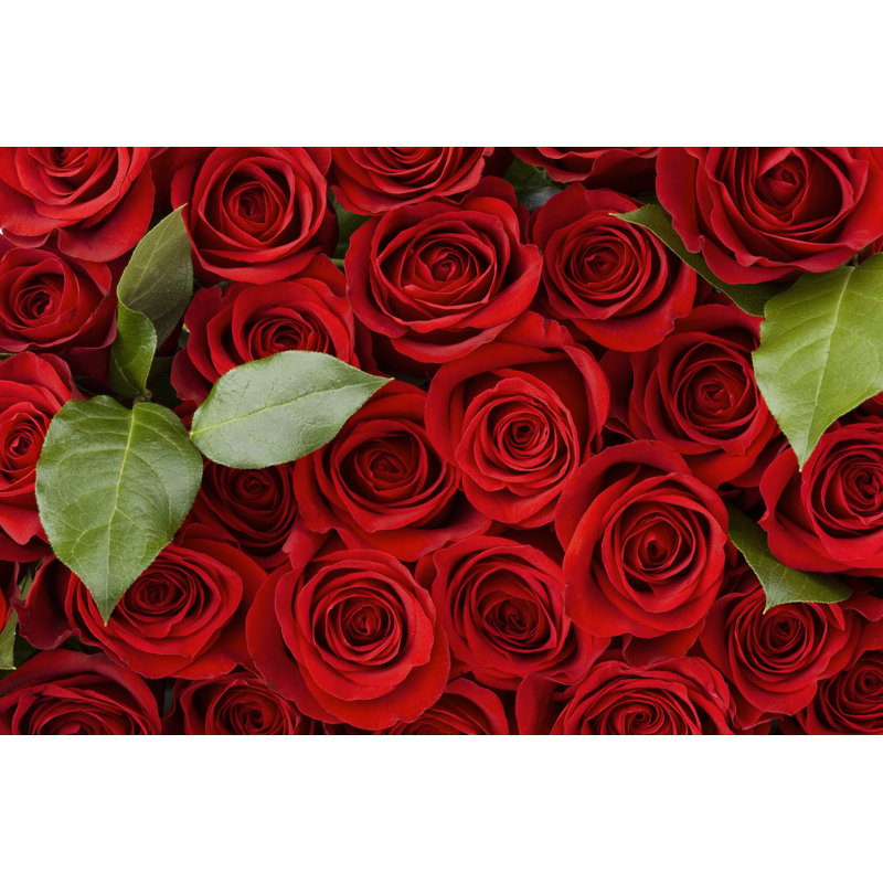 Roses by Liliboas - No Frame Print on Canvas, 30cm H x 46cm W