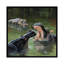 «Hippos in Water», impression sur toile-29479808-73648593-73648594