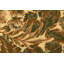 	 Tapis floral multicolore 6X9