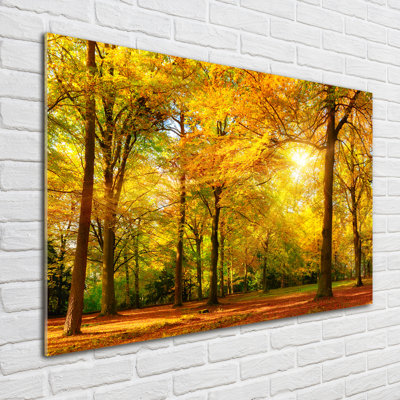 Autumn Forest - No Frame Print on Glass