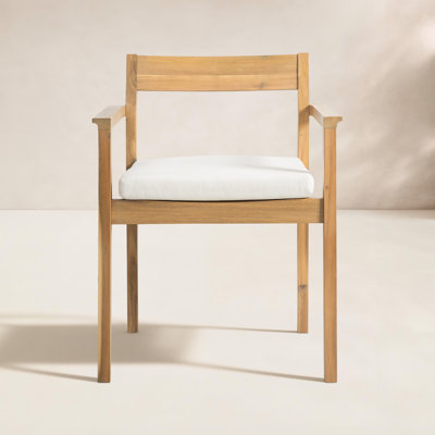 Badgley Solid Wood Patio Dining Chair with Cushion (Set of 2)