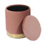 Velvet Ottoman-1756002052