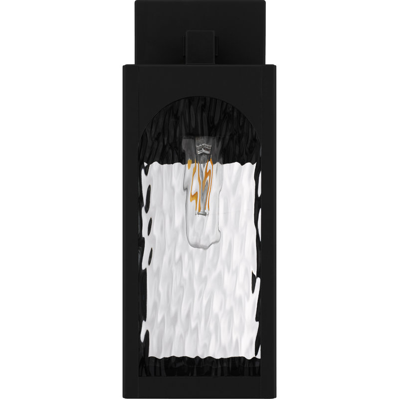 Lanterne murale d'extérieur Dallington, H 13,75 po x l 5 po x P 6,5 po