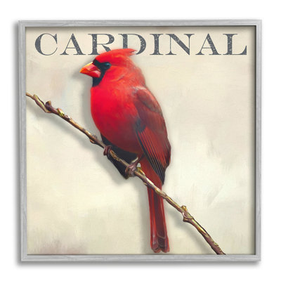 «Bold Red Cardinal Bird Portrait», texte rustique par atelier Alpenglow