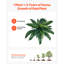 Faux Fern Plant-6104196
