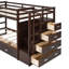 Lit superposé simple au-dessus de simple avec 2 tiroirs et escalier, maximisant l'espace et la sécurité pour les soirées pyjama en famille (sans matelas)-69568455
