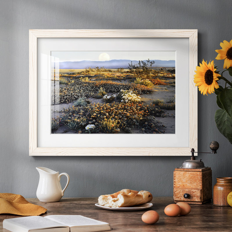 Anza Borrego Desert, reproduction d'art encadrée, Blanc, H 26 po x l 38 po x P 1,5 po
