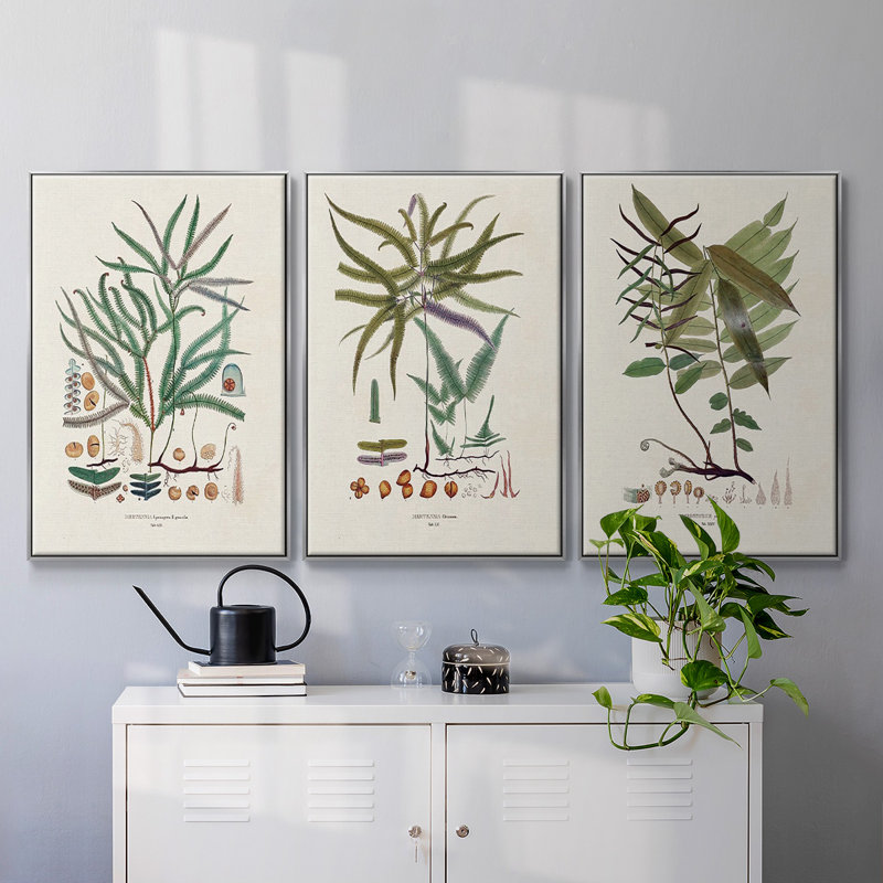 " Botanical Society Ferns VI " 3 - Pieces, H 24 po x l 48 po x P 2 po, Argent