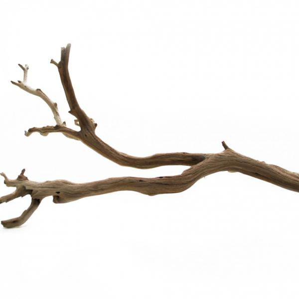 Sculpture décorative naturelle Adolfa, l 12 po