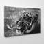 Tiger Photographic - Wrapped Canvas-19093641