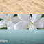 Bougie en bois flottant magnifiquement faite-104950196