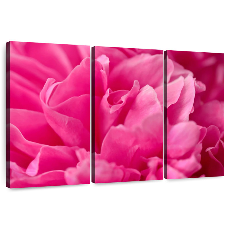 Pivoine rose Harnek, H 42 po x l 65 po