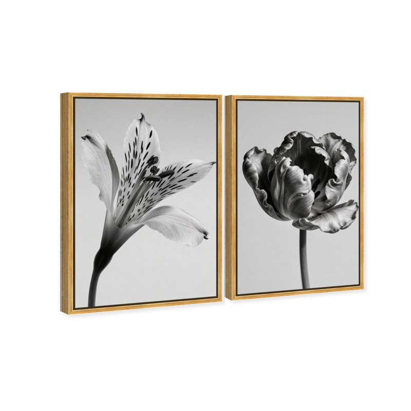 Peeking Flowers Set Set by Oliver Gal, 25" H x 17" W, Gold Floater Frame