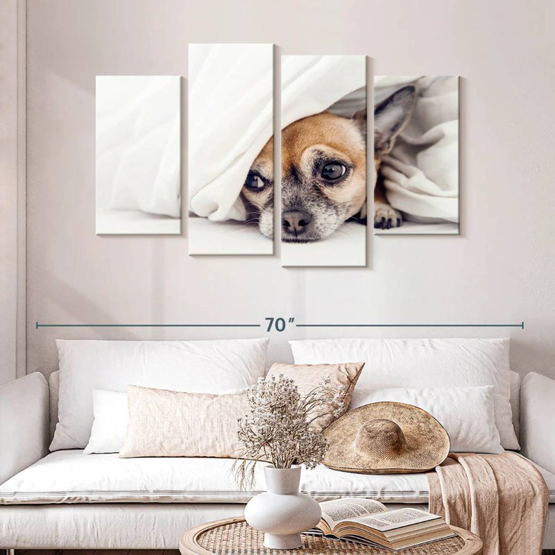 Brampt Despondent Chihuahua Dog