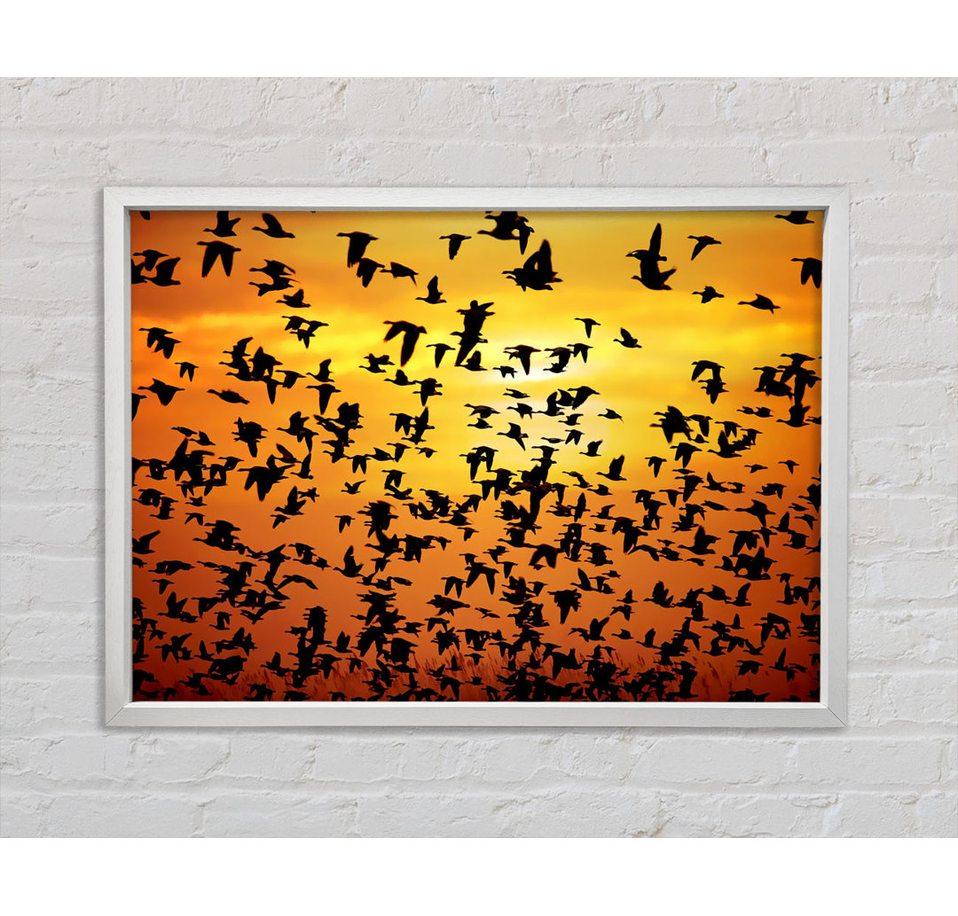 Flight Of The Golden Birds - Einzelbildrahmen Kunstdrucke auf Leinwand