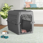 Donnie Plastic Pet Carrier with 1 Door