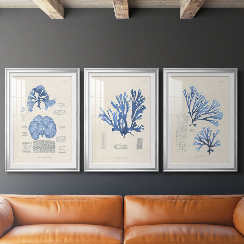 Blue Marine Algae IV - reproduction encadrée sur mesure de qualité supérieure mate - 3 pièces, H 21 po x l 30 po