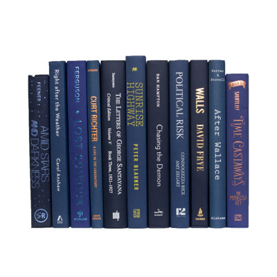 Ensemble de livres décoratifs bleus Serefina 12" L