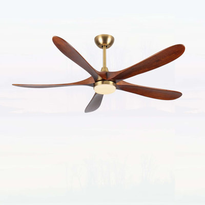 62 Inch Antique Bronze Ceiling Fan with Light, 5 Reversible Walnut Blades, Quiet DC Motor, 3-Color Dimmable LED, Mid-Century Modern Style for Large Rooms