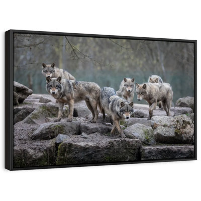 «Gray Wolves Wall Art»
