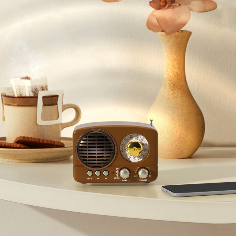 Retro Radio, Vintage Bluetooth Speaker, Walnut Wooden FM Radio with  Bluetooth 4.2, Old Fashion