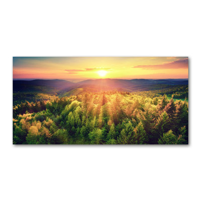 Forest Sunset - Wrapped Canvas Print