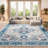 Pashence Performance Oriental Rug-1982646721
