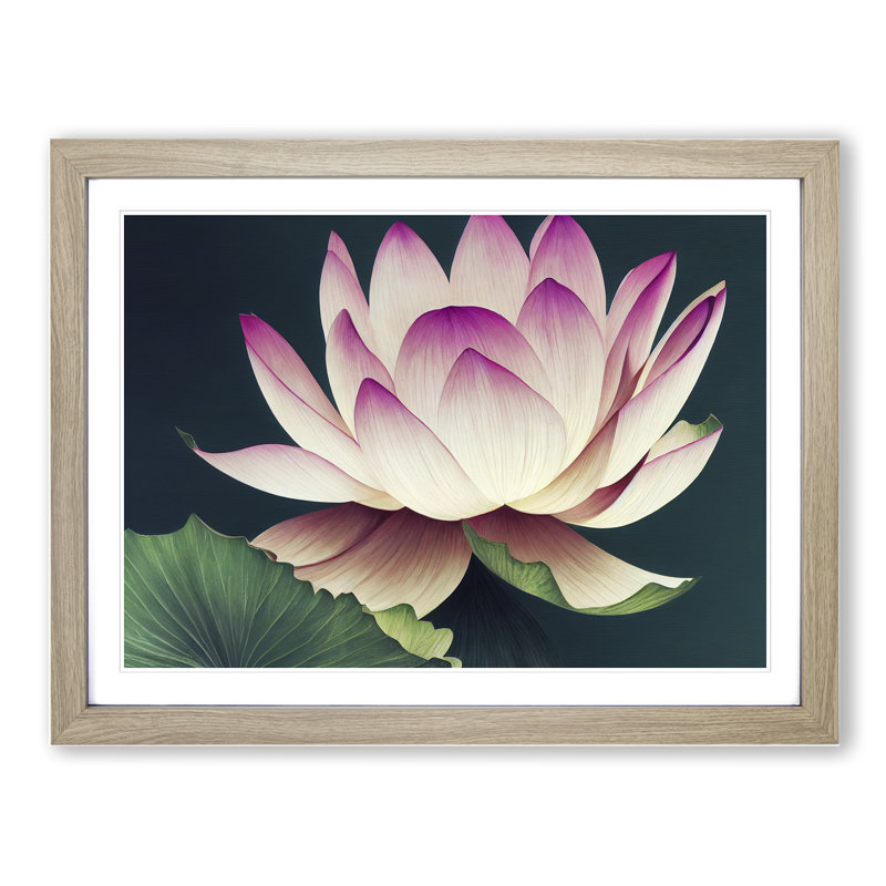 Cute Lotus Flower - Framed Print, 25cm H x 34cm W x 2cm D, Oak