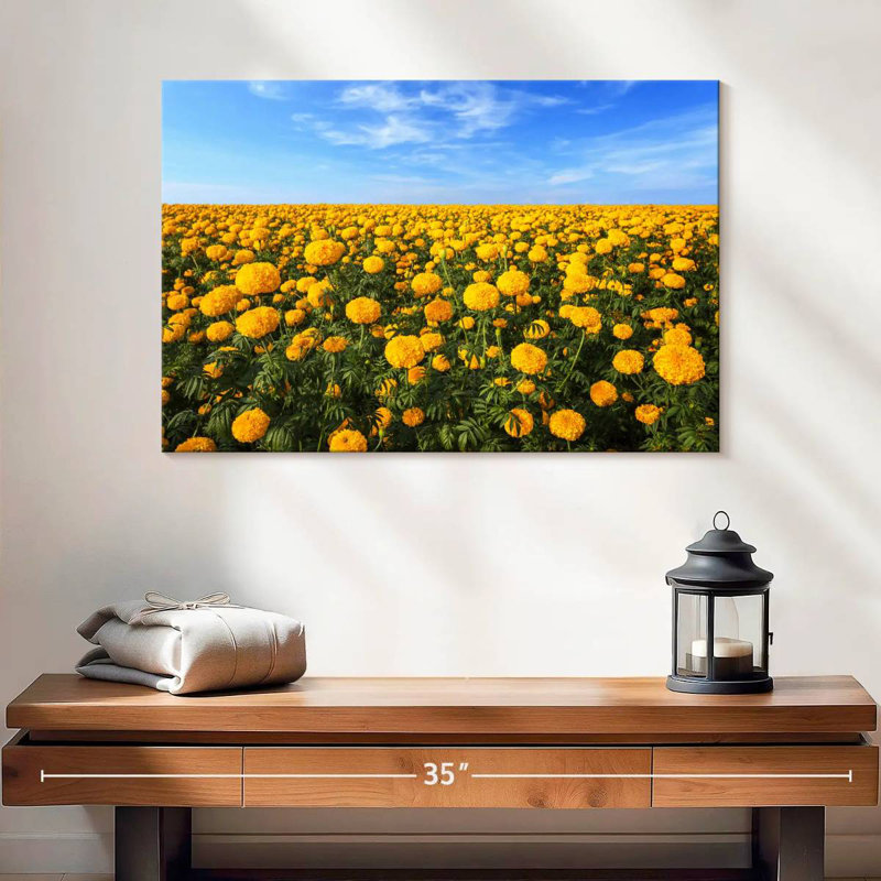 Alvord Marigold Field, H 16 po x l 24 po