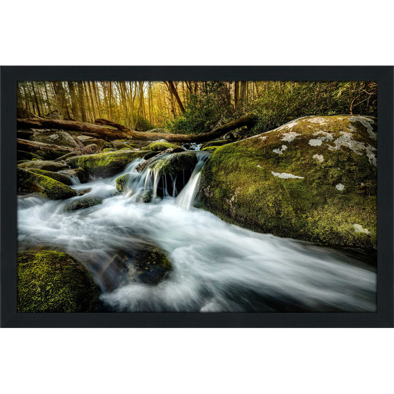 " Fallen Timber " Print, 27.5" H x 39.5" W x 0.75" D, Espresso Framed