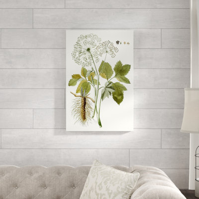 Lacy Leaves IV - Painting Print