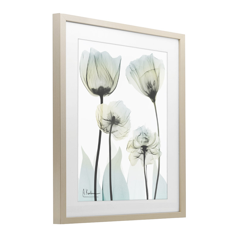 Impression florale de luxe sous-marine, signée Albert Koetsier, H 21 po x l 17 po, Récolte de pin sous cadre en verre