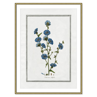 Colombe "Soft Botanical I" Print