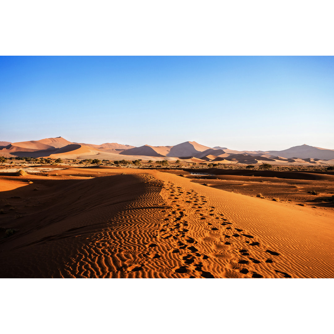 Beautiful Landscape Of Hidden Vlei In Namib Desert by Artush - Wrapped Canvas Print