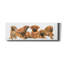 «Rhodisian Ridgeback Puppies» par Barbara Keith