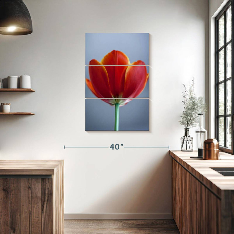 Tulipe rouge Harnek, H 38 po x l 24 po