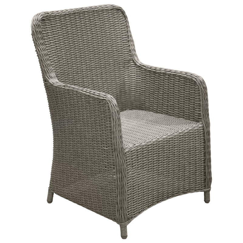 Neerav Outdoor Patio Dining Armchair with Cushion