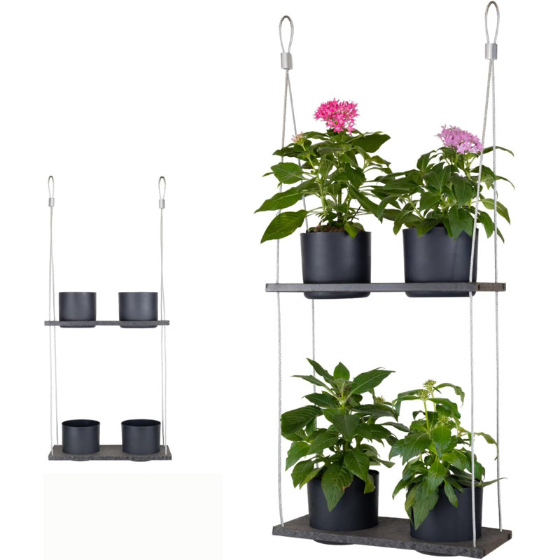 Ebern Designs Urban Garden Decor with Pots Included, Hanging Planters for Indoor Outdoor Plants, Hanging Flowerpots, Wall Hanging Plant Holder Window Plant Shelves (Shelf 4 Pots)