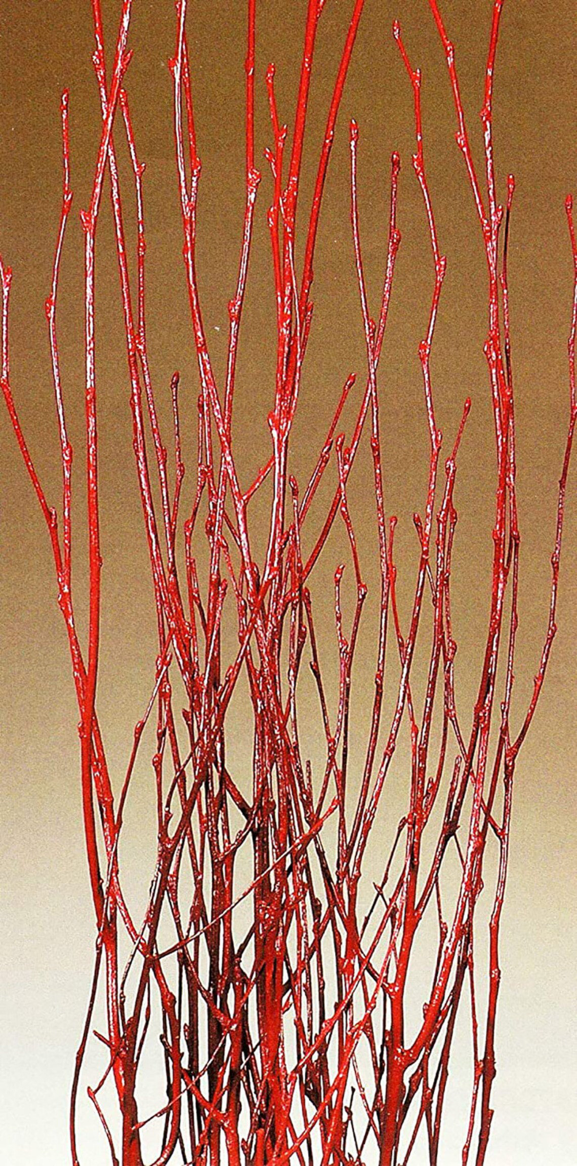 Natural Red White Birch Twigs 3-4 Foot Branches Floor Vase Tall Branch -   Log Cabin Decor