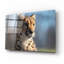 Art mural en verre Cheetah 1 'par Gordon Semmens-1658096682