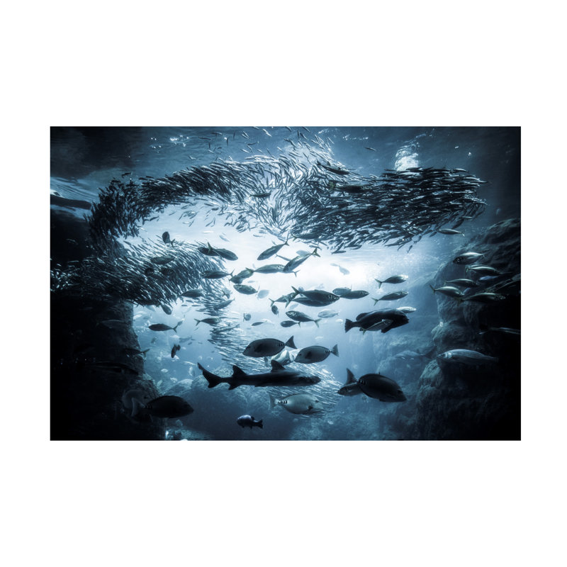 Art sur toile, Takashi Suzaki, H 12 po x l 19 po