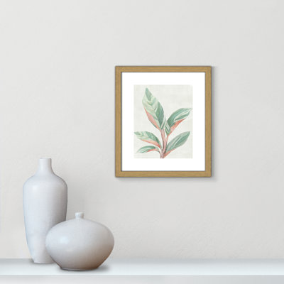Gingembre II - reproduction d'art