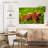 Brampt Red Highland Cow-108818483